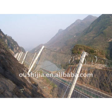 Hot-sale passive slope protecting wire mesh(factory)